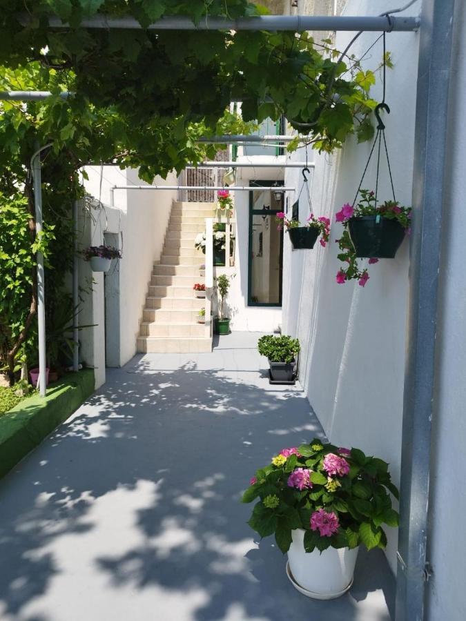 Apartments Mare - 150 M From Beach 布雷拉 外观 照片